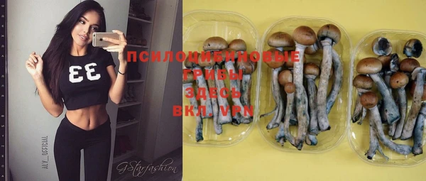 стафф Богородицк