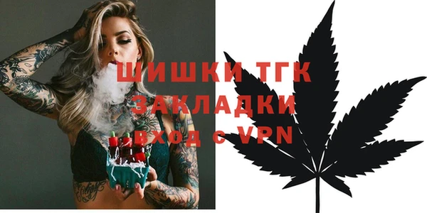 спиды Богданович