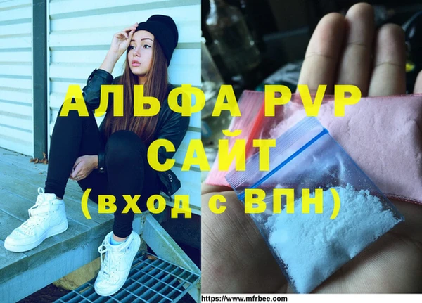 стафф Богородицк