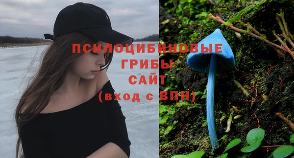ALPHA PVP Богородск