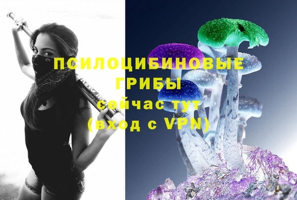стафф Богородицк