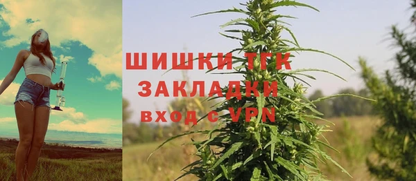 стафф Богородицк